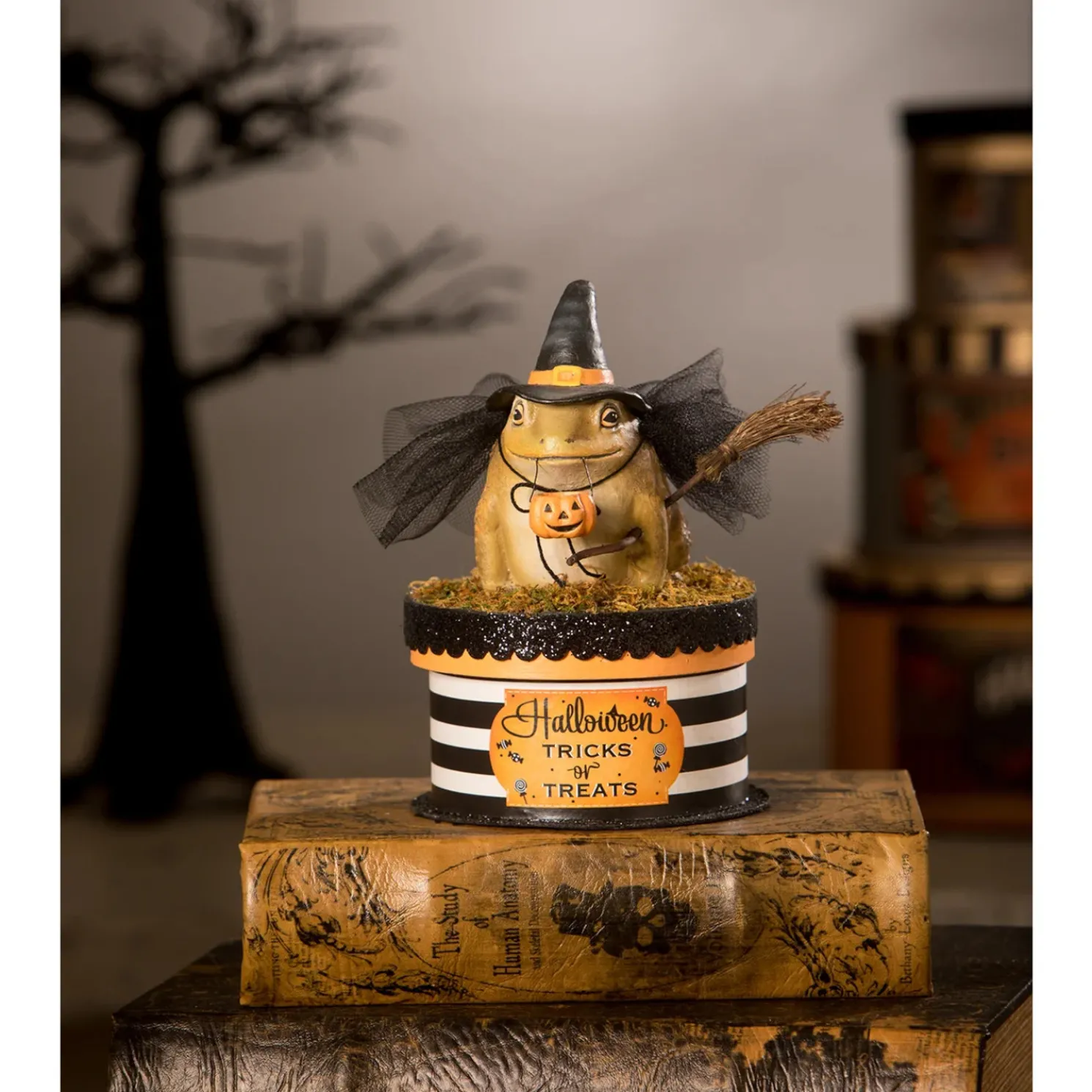 Bethany Lowe 7" Witchy Toad On Box Container Halloween Decoration TL2348