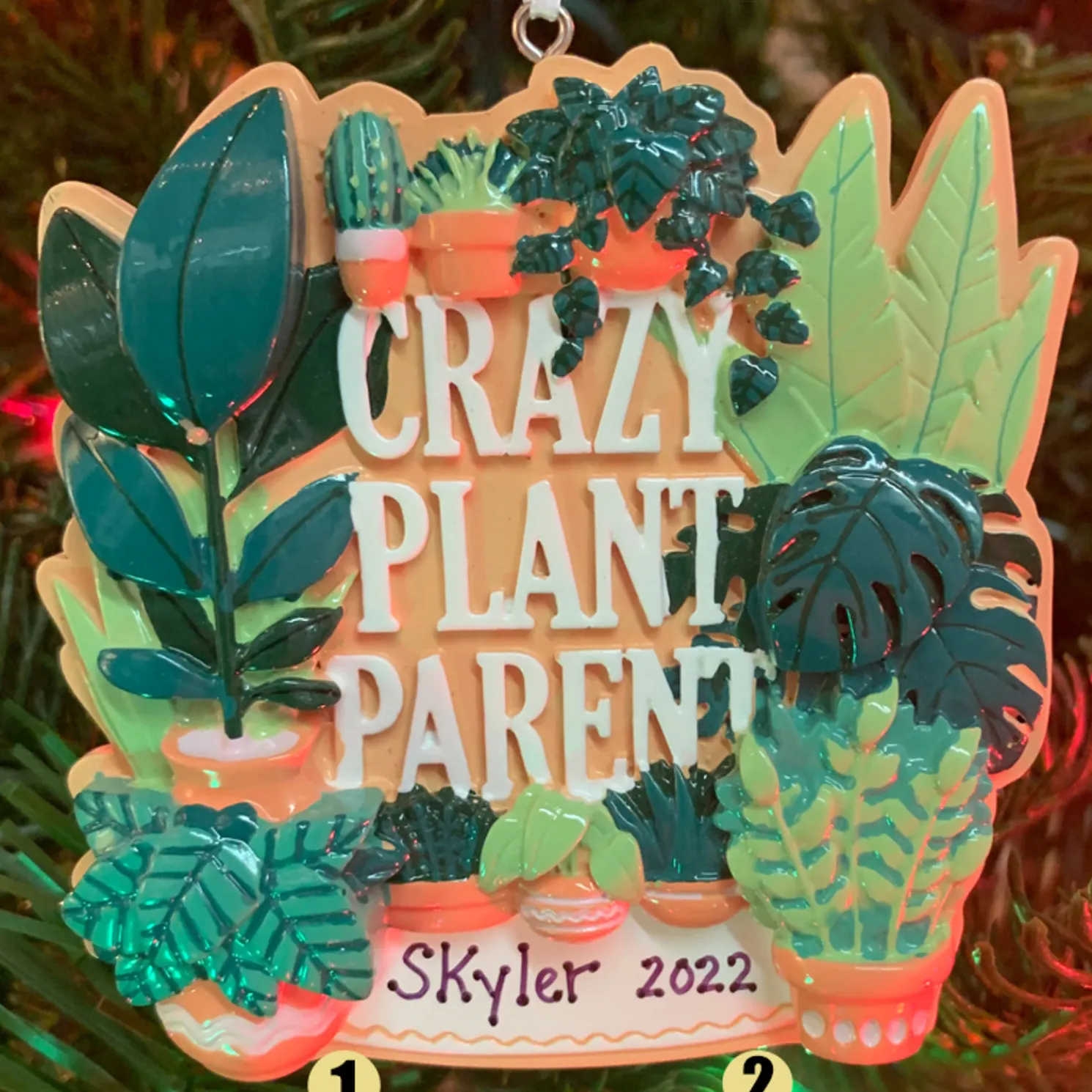 Crazy Plant Parent House Plants Personalized Christmas Ornament OR2288
