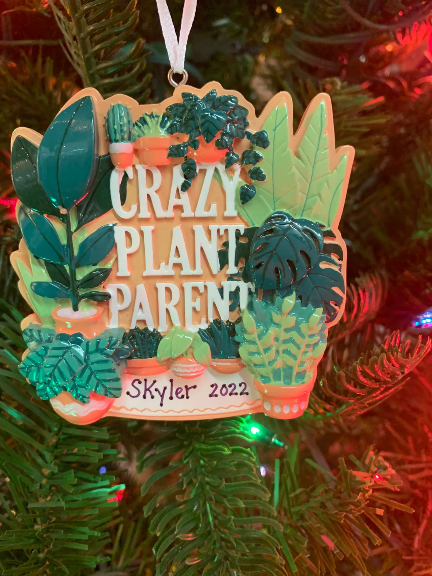 Crazy Plant Parent House Plants Personalized Christmas Ornament OR2288
