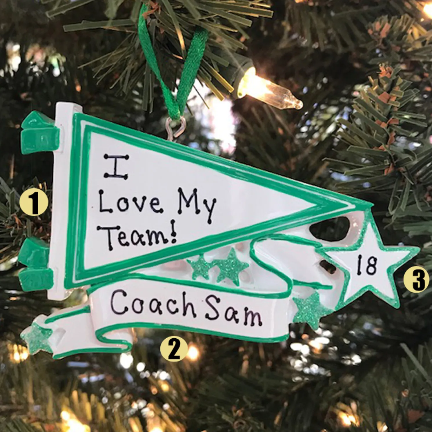 Glittered Green Sports Pennant Personalized Christmas Ornament OR1558-GR