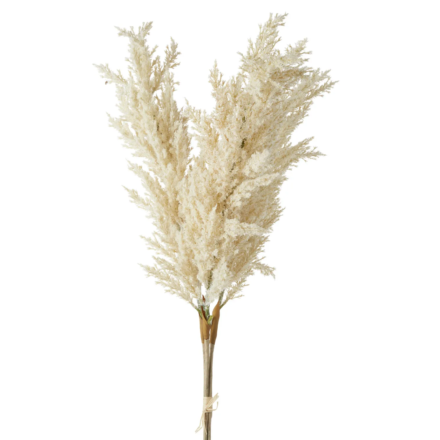Raz 34" Ivory Artificial Pampas Grass Bundle F4212954