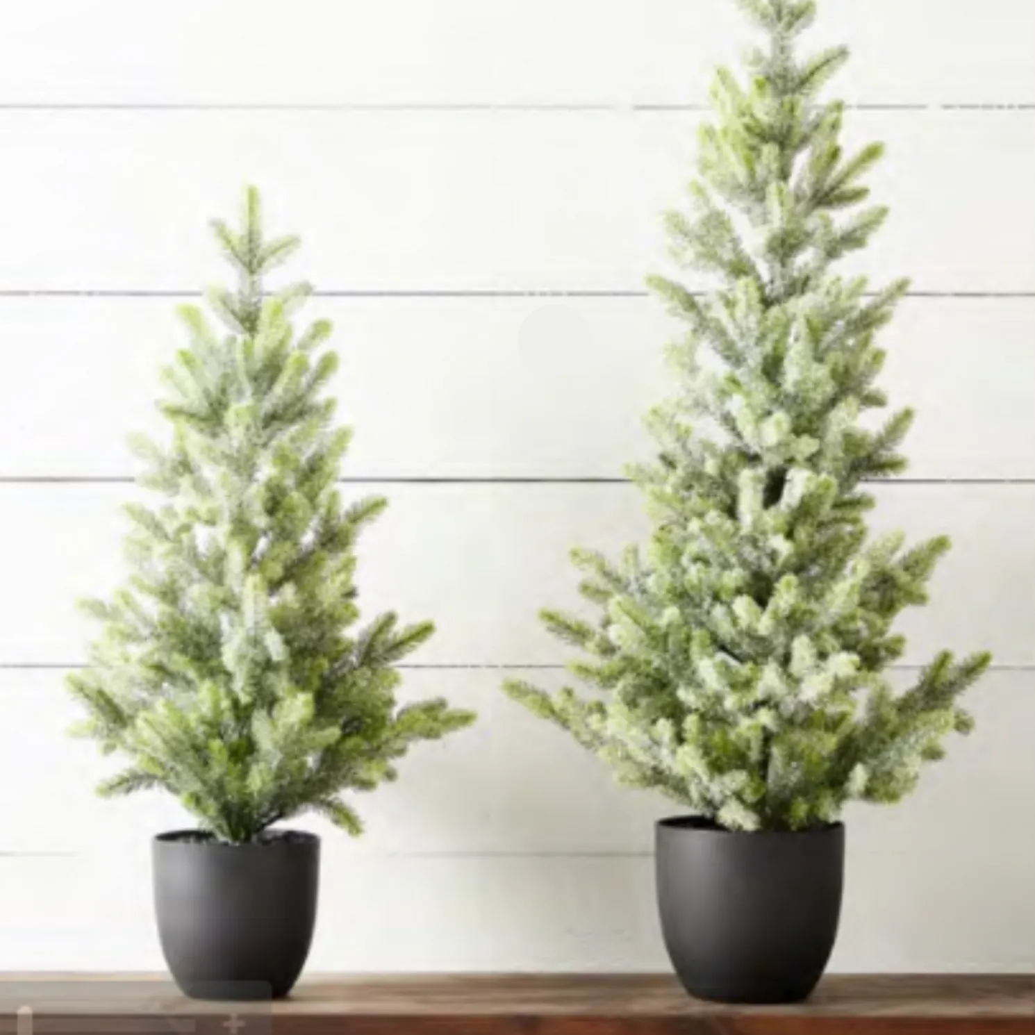 Raz 30.5" or 38" Potted Iced Fir Tree Tabletop Christmas Tree